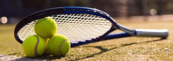 What Is a Tennis Ladder League?